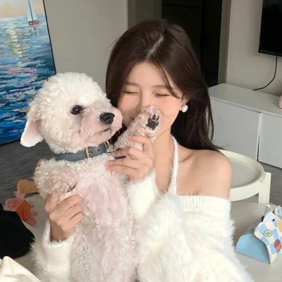 文明的轨迹
